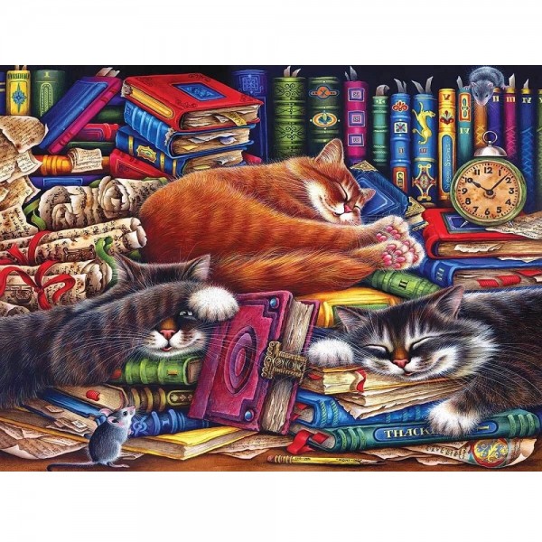 Katter bland böcker