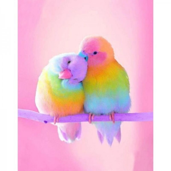 Regnbågsfärgade fåglar