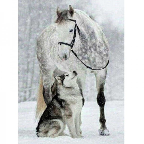 Häst och varg