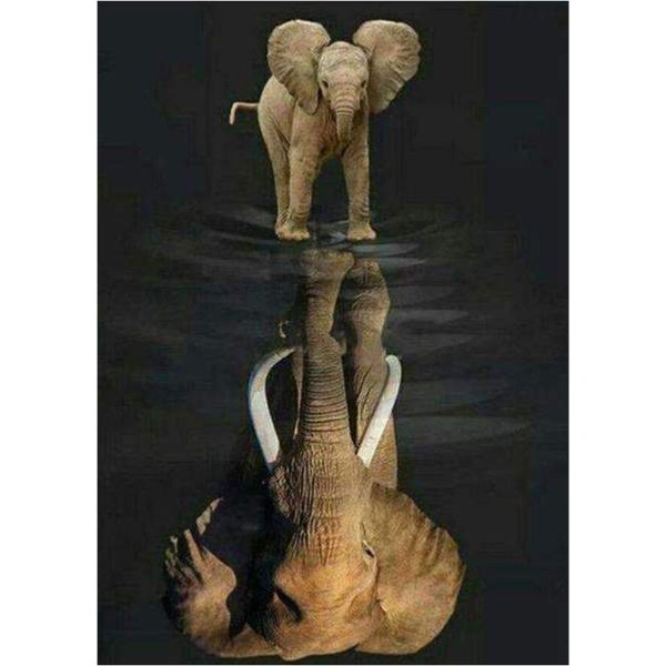 Elefant spegelbild