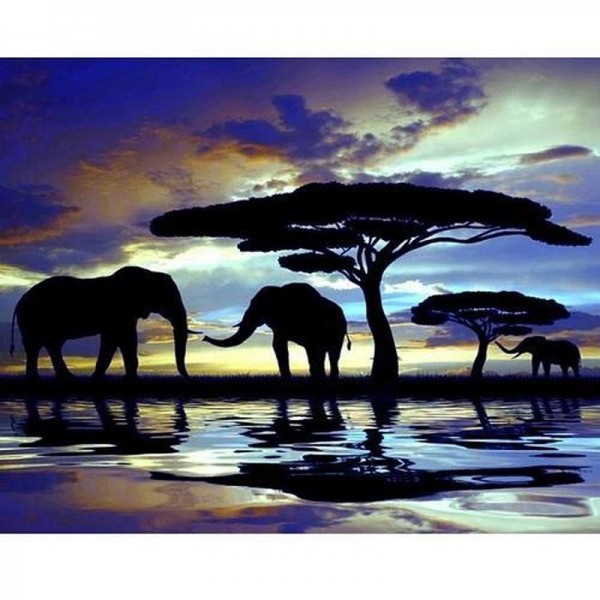 Elefant silhuett i solnedgång