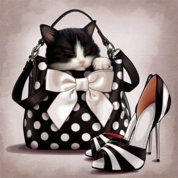 Katt i handväska
