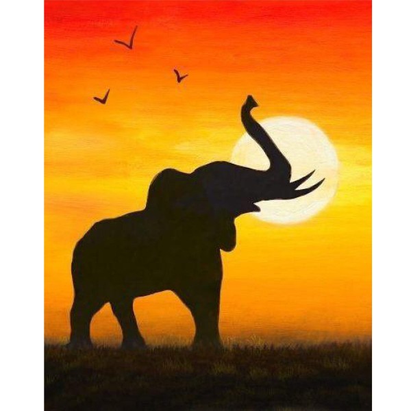 Elefant i solnedgång