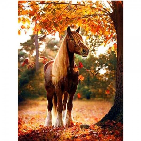Häst i hösten