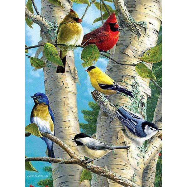Färgglada fåglar
