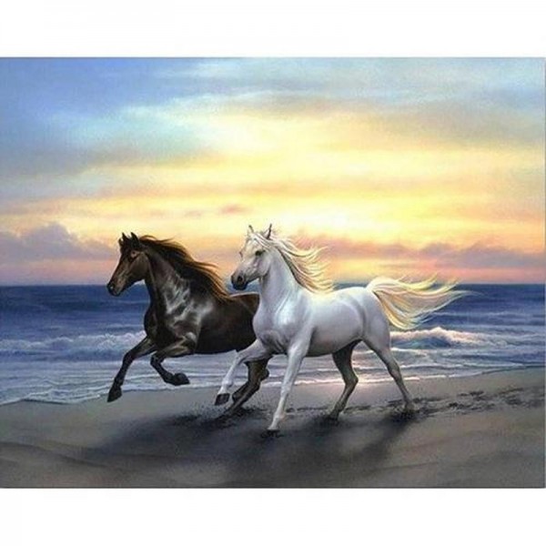 Hästar på stranden