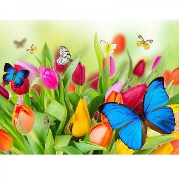 Fjärilar och tulpaner
