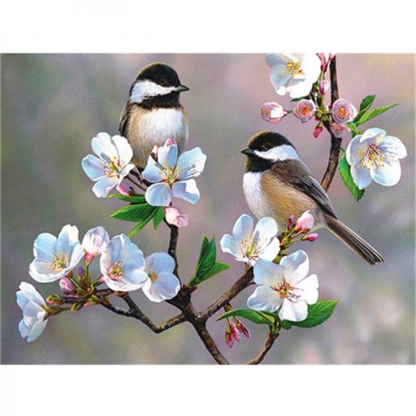Fåglar i blommande träd